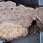 Elm burl, approx. 810 x 500 x 52 mm, 13661