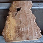 Elm burl, approx. 810 x 500 x 52 mm, 13661