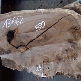 Kaukasischer Nussbaum, ca. 800 x 490 x 50 mm, 13662