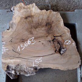 Caucasian Walnut, approx. 600 x 550 x 52 mm, 13663