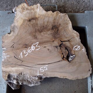 Caucasian Walnut, approx. 600 x 550 x 52 mm, 13663