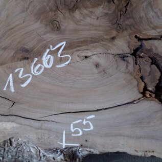 Caucasian Walnut, approx. 600 x 550 x 52 mm, 13663