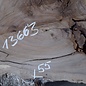 Caucasian Walnut, approx. 600 x 550 x 52 mm, 13663