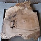 Kaukasischer Nussbaum, ca. 600 x 550 x 52 mm, 13663
