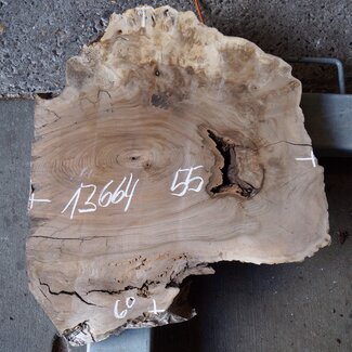 Caucasian Walnut, approx. 600 x 550 x 50 mm, 13664