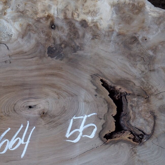 Caucasian Walnut, approx. 600 x 550 x 50 mm, 13664