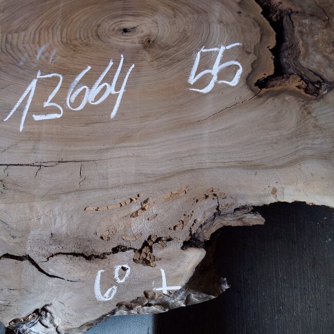 Caucasian Walnut, approx. 600 x 550 x 50 mm, 13664