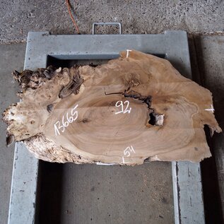 Caucasian Walnut, approx. 920 x 540 x 60 mm, 13665