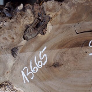 Caucasian Walnut, approx. 920 x 540 x 60 mm, 13665