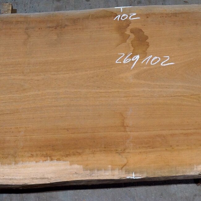 Eyeck Tischplatte, ca. 2600 x 1020 x 52 mm, 13533