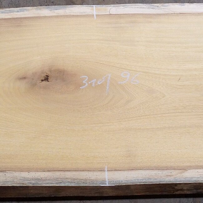 Iroko table top, approx. 3100 x 960 x 65 mm, 13294