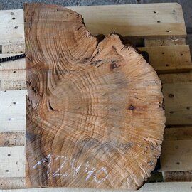 Madrona burl slab, approx. 560 x 410 x 40 mm, 12440