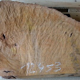 Madrona burl slab, approx. 630 x 530 x 40 mm, 12453