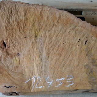 Madrona burl slab, approx. 630 x 530 x 40 mm, 12453