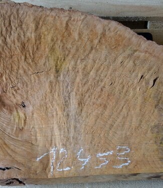 Madrona burl slab, approx. 630 x 530 x 40 mm, 12453