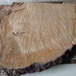 Madrona burl slab, approx. 630 x 530 x 40 mm, 12453