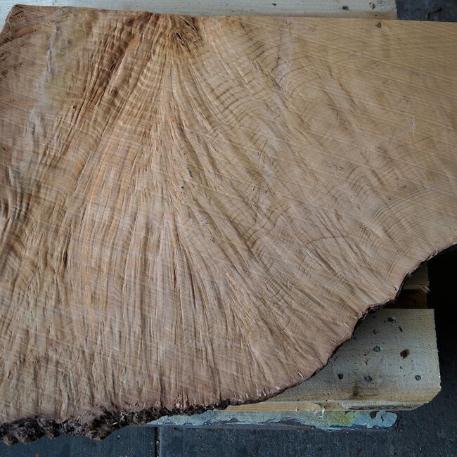 Madrona burl slab, approx. 920 x 720 x 40 mm, 12458