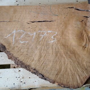 Madrona burl slab, approx. 800 x 620 x 40 mm, 12473