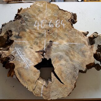 Buckeye burl, approx. 800 x 700 x 52 mm, 10 kg