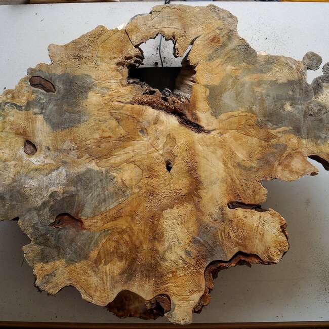 Buckeye Maser, ca. 800 x 700 x 52 mm, 10 kg