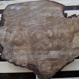 Laurel, burl slab, approx. 560 x 490 x 65 mm, 40717