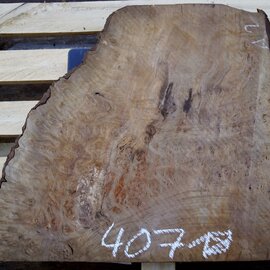 Laurel, burl slab, approx. 580 x 570 x 65 mm, 40718