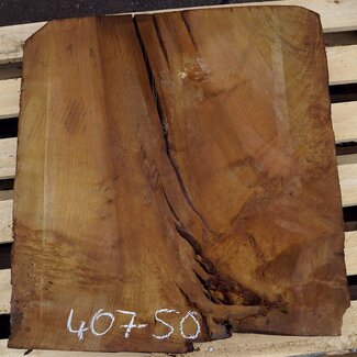 Laurel, ca. 630 x 540 x 63 mm, 40750