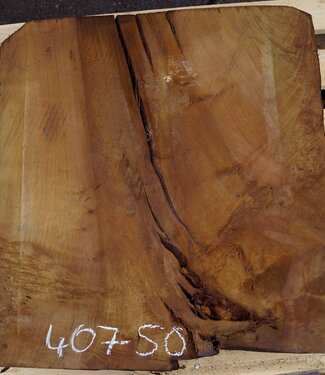 Laurel, ca. 630 x 540 x 63 mm, 40750