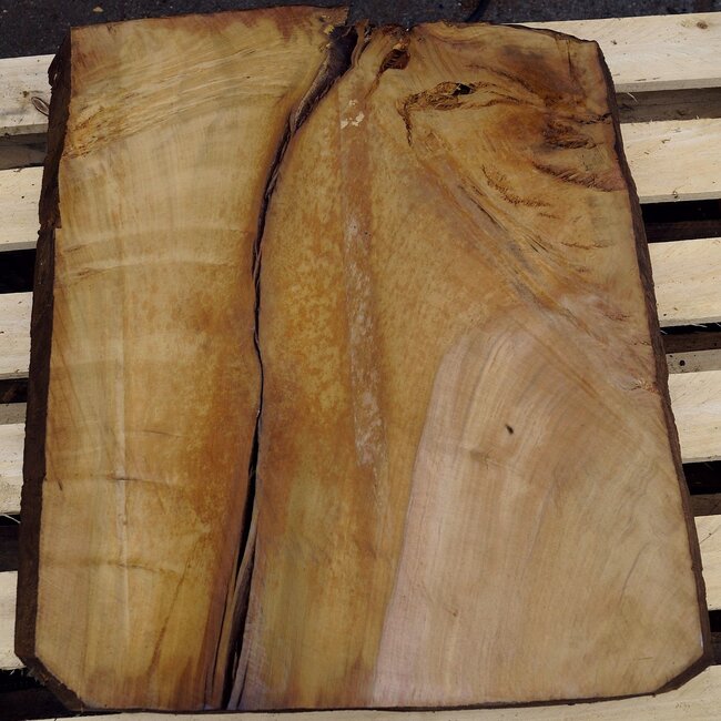 Laurel, approx. 630 x 540 x 63 mm, 40750