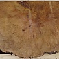 Laurel, burl slab, approx. 770 x 580 x 67 mm, 40755