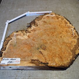 Grisard, Silberpappel, ca. 400 x 400 x 49mm
