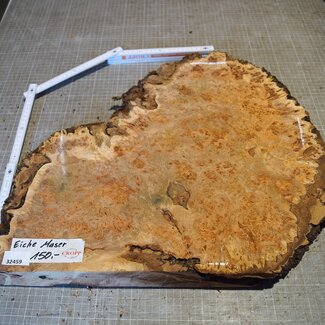 Grisard, Silberpappel, ca. 400 x 400 x 49mm