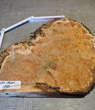 Grisard, Silberpappel, ca. 400 x 400 x 49mm