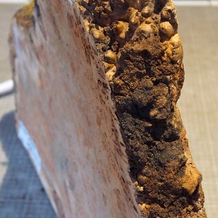 Grisard, Silberpappel, ca. 400 x 400 x 49mm