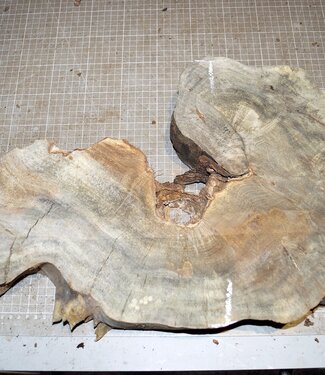 Buckeye Maser, approx. 590 x 320 x 52mm, 2,9kg