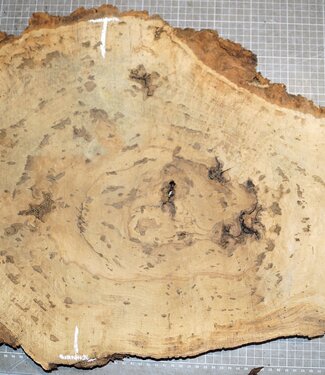 Eiche Maser, ca. 610 x 420 x 32mm, 31323