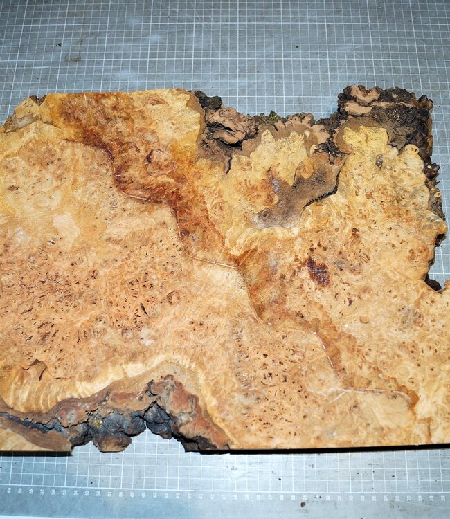 Grisard, approx. 440 x 340 x 48mm, 4,5kg