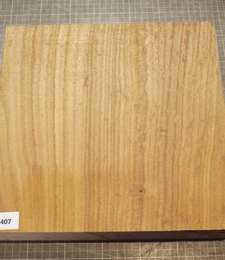 Kaukasische Rüster Maser, ca. 306 x 305 x 65mm, 3,38kg