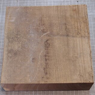 Caucasian Elm, approx. 205 x 205 x 67mm, 1,54kg