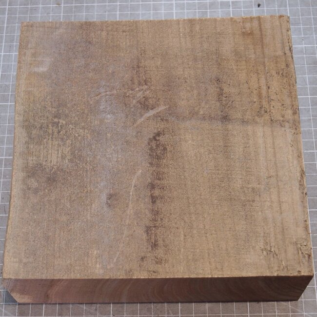 Kaukasische Rüster, ca. 205 x 205 x 67mm, 1,54kg