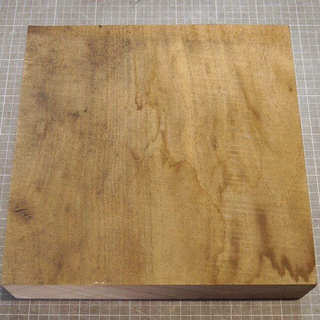 Kaukasische Rüster Maser, ca. 284 x 284 x 67mm, 2,94kg