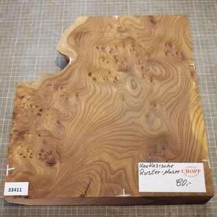 Caucasian Elm burl, approx. 333-235 x 370 x 60mm, 3,84kg