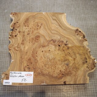 Caucasian Elm burl, approx. 295-385 x 370 x 38mm, 2,64kg