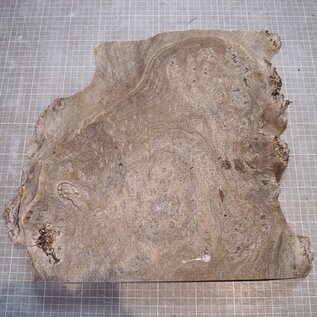 Kaukasische Rüster Maser, ca. 295-385 x 370 x 38mm, 2,64kg