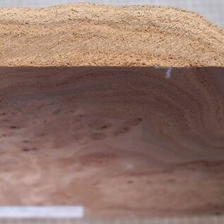 Caucasian Elm burl, approx. 295-385 x 370 x 38mm, 2,64kg