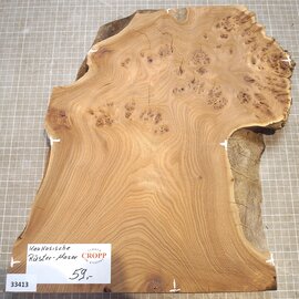 Caucasian Elm burl, approx. 326-235-290 x 410 x 37mm, 2,80kg