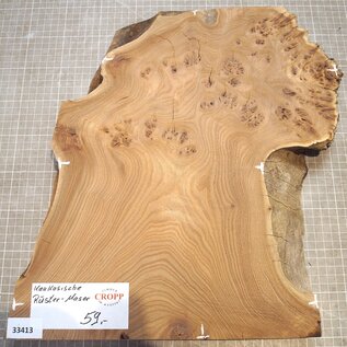 Caucasian Elm burl, approx. 326-235-290 x 410 x 37mm, 2,80kg