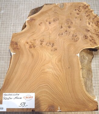 Caucasian Elm burl, approx. 326-235-290 x 410 x 37mm, 2,80kg