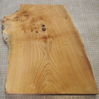 Caucasian Elm burl, approx. 326-235-290 x 410 x 37mm, 2,80kg