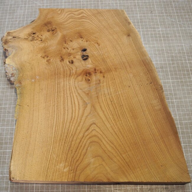 Caucasian Elm burl, approx. 326-235-290 x 410 x 37mm, 2,80kg
